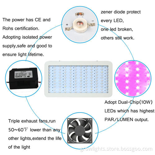 Professional LED Grow Light with certification